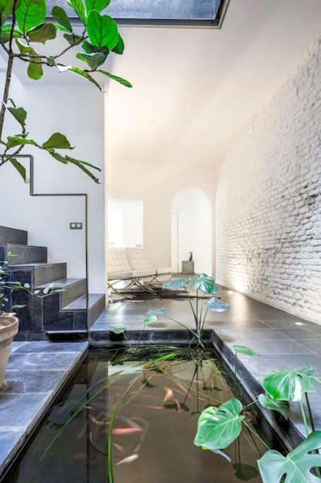 Exclusivo Apartamento De Diseno Centro Sevilla Matahacas Bajo Esterno foto